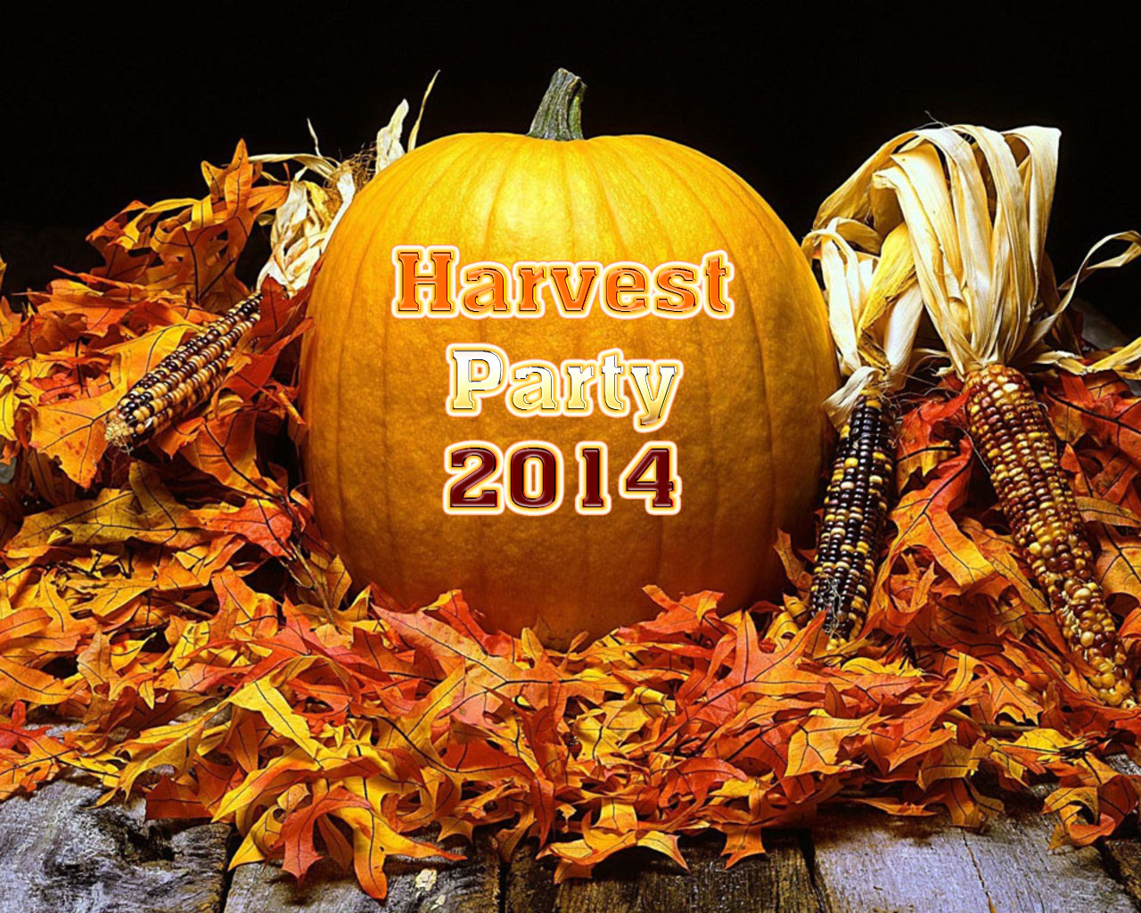 harvest party -2014