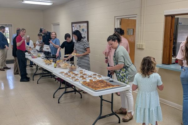 Revival Spring 2025-1