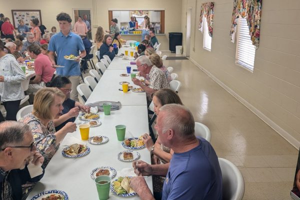 Revival Spring 2025-3