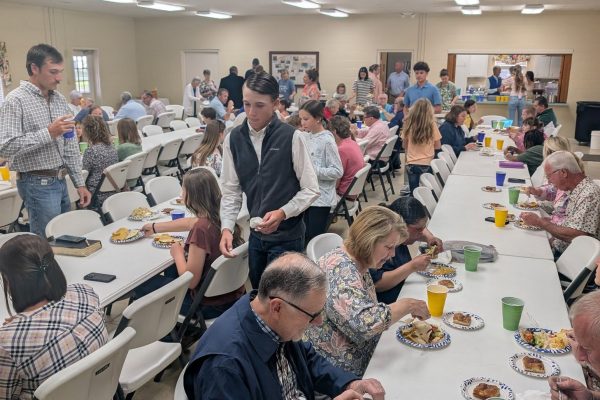 Revival Spring 2025-4